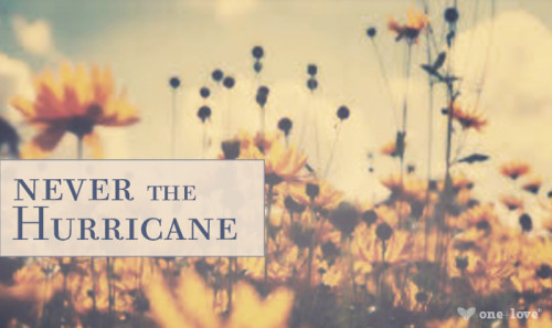 Never the Hurricane